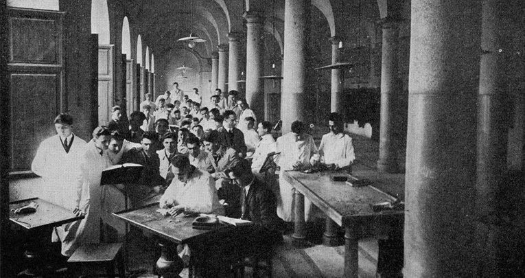Levi Talent School