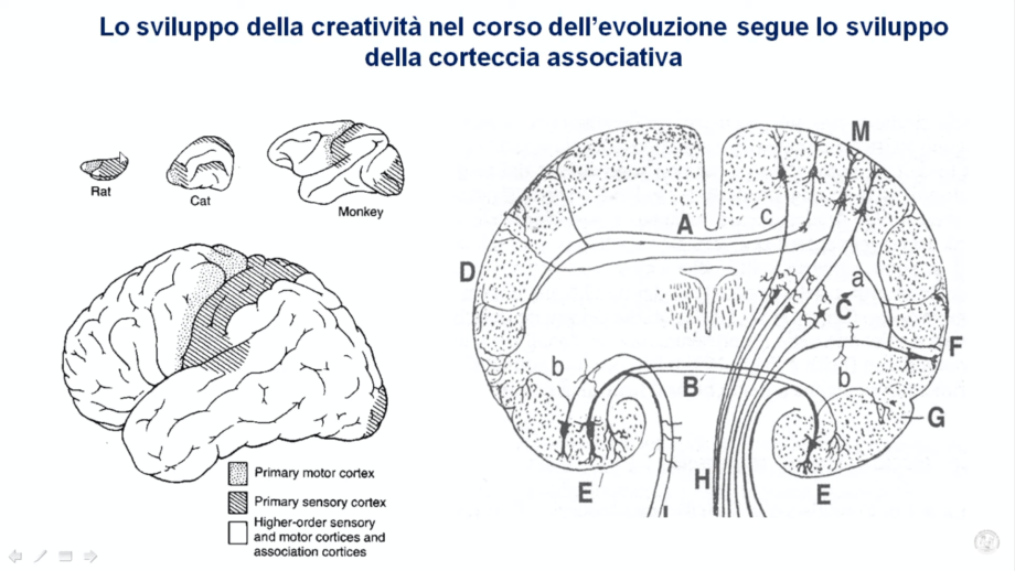 creatività