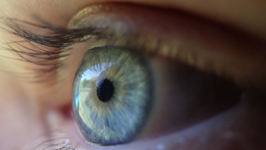 eye-369557_1280 distrofie-retiniche-ereditarie-test-genetico-in-sicilia