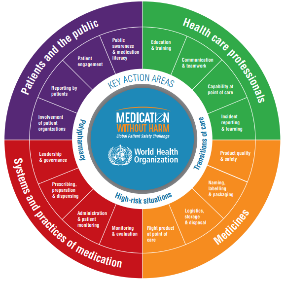 Strategic Framework of the Global Patient Safety Challenge