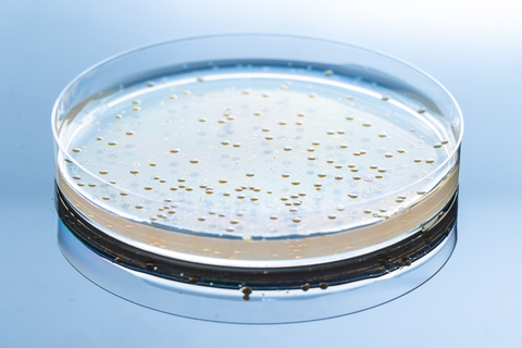 Europa antimicrobico resistenza