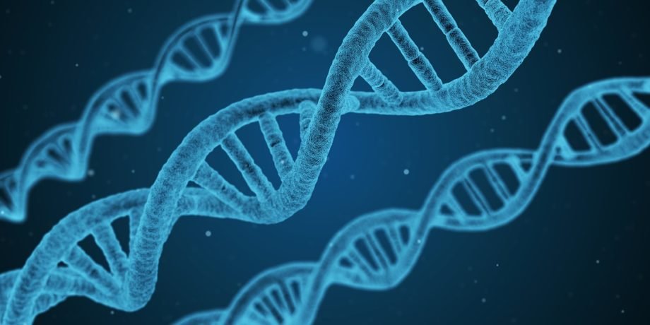 dna-g8874e2162_1280 dna