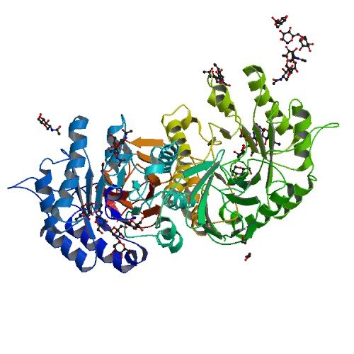 PBB_Protein_GLA_image malattia di Fabry