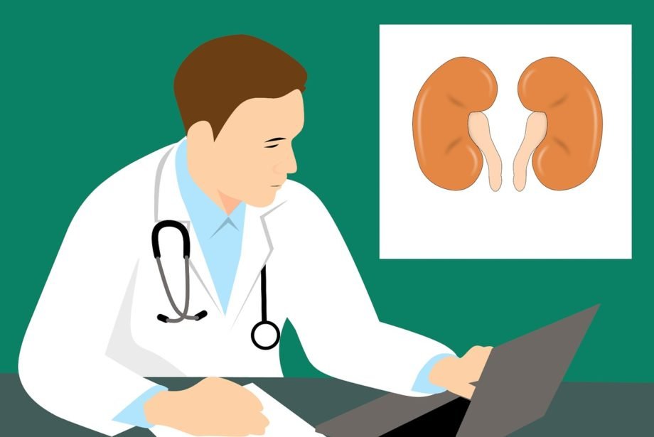 kidney-3667909_1280 malattia renale cronica