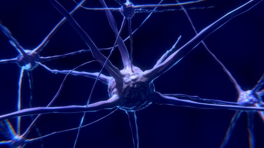 nerve-cells-gdb1ff08aa_1280 neuroni