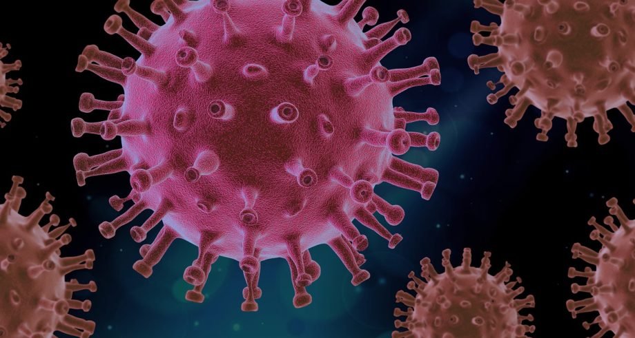 virus-4937553_1280 Sars-Cov-2
