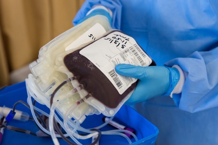blood-4951009_1280 sangue