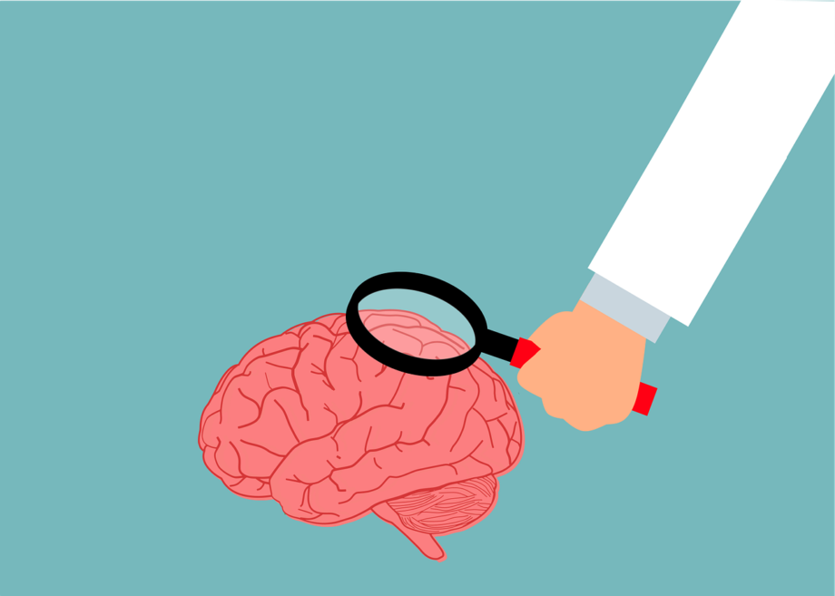brain-6974397_1280 cervello