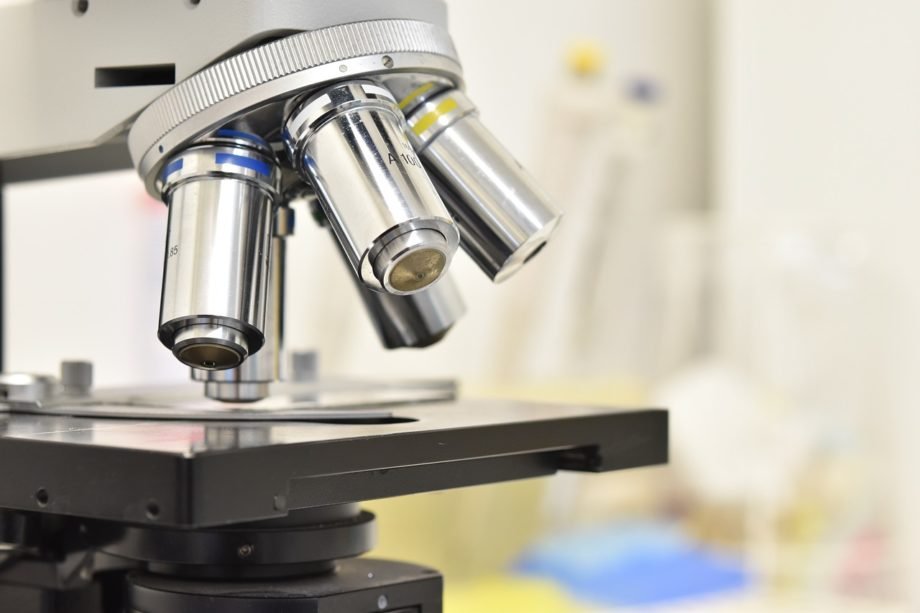 microscope-5732847_1280 ricerca
