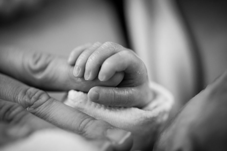 baby-1681181_1280 sangue cordonale