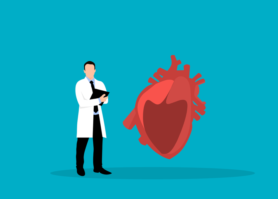 heart-g390c54c53_1280 malattie cardiovascolari