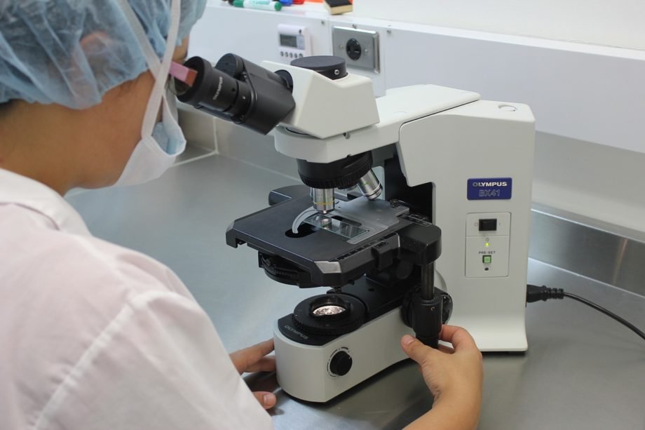 microscope-gbc24a4cd9_1280 tumori ricerca