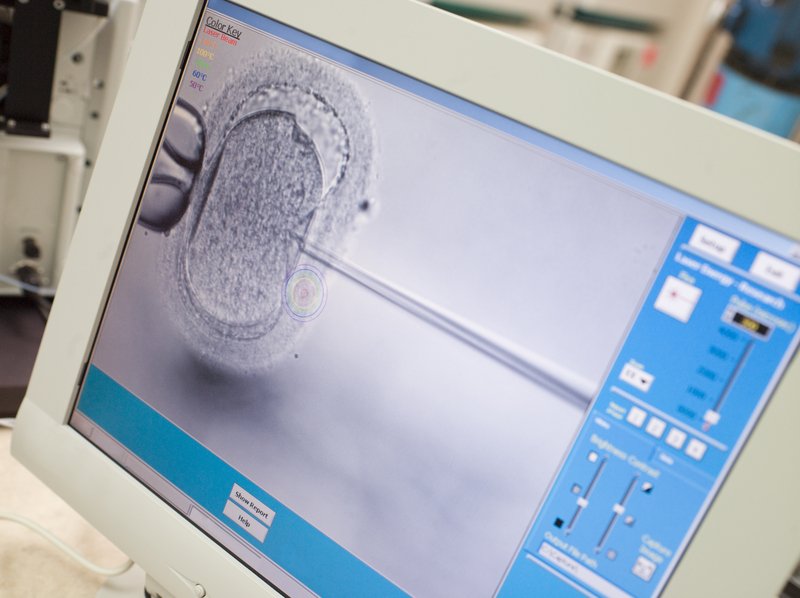 dreamstime_s_5002578 procreazione medicalmente assistita PMA