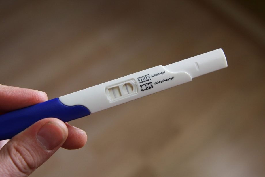 pregnant-g6fe97bb45_1280 legge 194