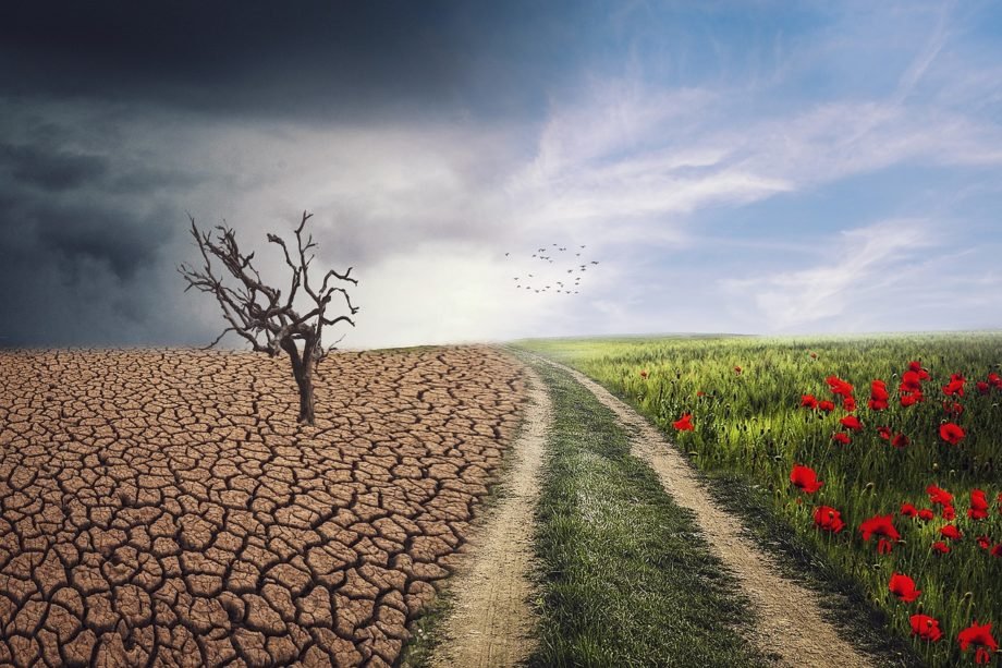 pxclimateaction-geea8dbd61_1280 cambiamenti climatici