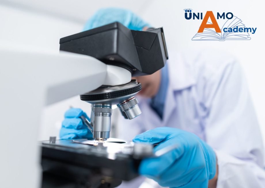 Uniamo Academy