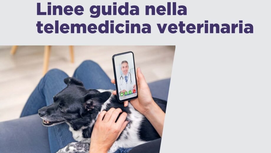 telemedicina veterinaria