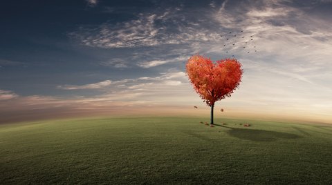 ambiente e rischio cardiovascolare